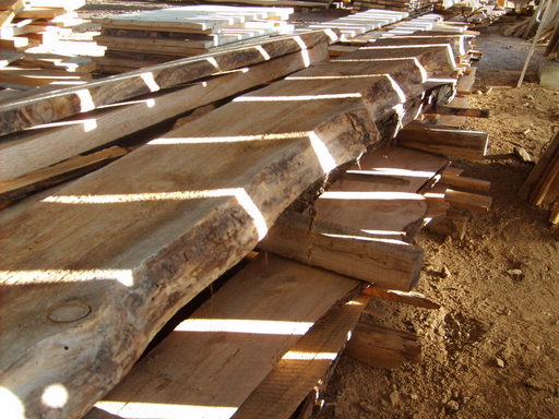 stock at Greenleaf sawmill, unprocessed